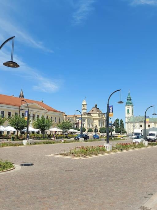 Art Nouveau Apartment Ultracentral Oradea Eksteriør billede